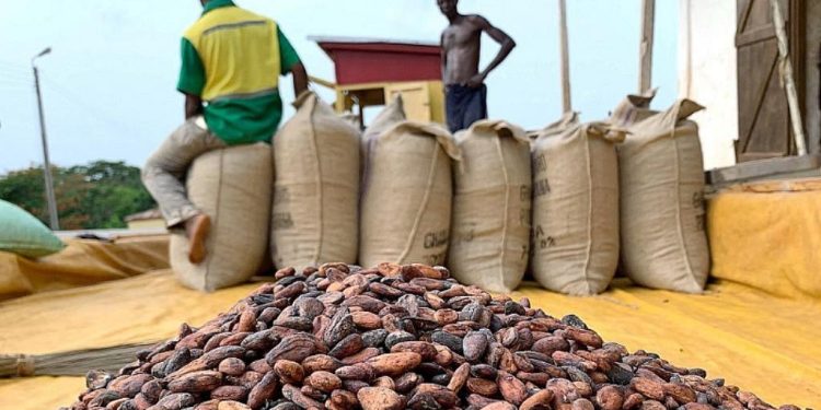 Anti-Smuggling Taskforce Intercepts 100 Bags of Cocoa in Old Akrade Operation