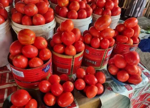 Ghana encounters tomato shortage after Burkina Faso halts exports