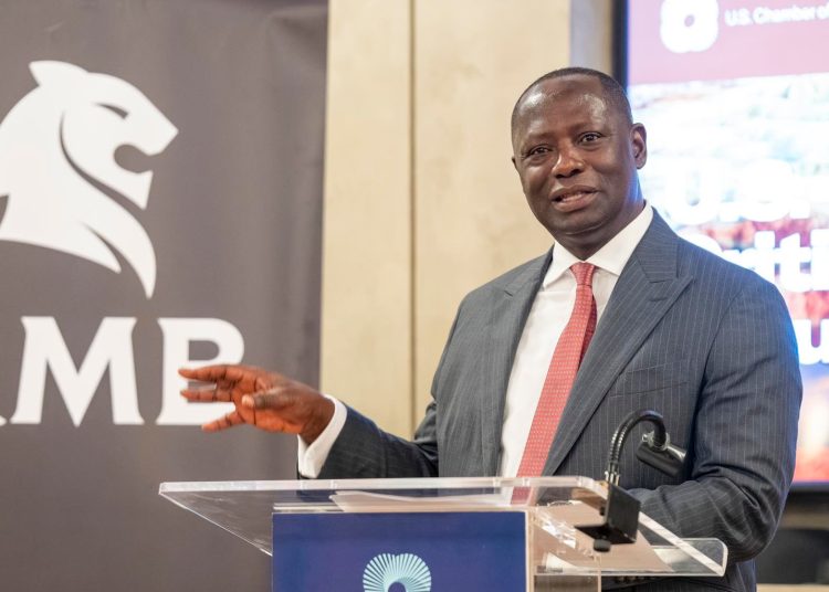 Gov’t sets up interim team to manage Adamus mine