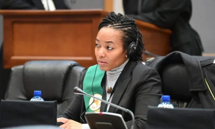“It is a shameful dent” – Zanetor condemns South African xenophobia at AU Day parade