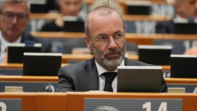 EU must act before China cripples European industries, warns EPP chief