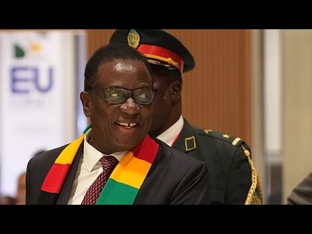 Zimbabwe court ruling on constitutional amendments sparks divided reactions
