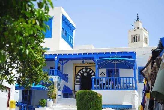 Tunisian town of Sidi Bou Said added to UNESCO World Heritage list