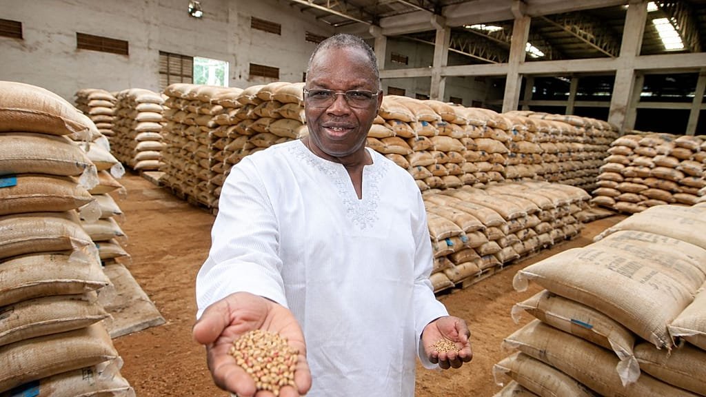 Agriculture: West Africa seeks to speed up the movement of seeds