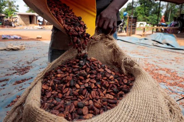 COCOBOD threatens to withdraw LBC licences over cocoa purchases on credit